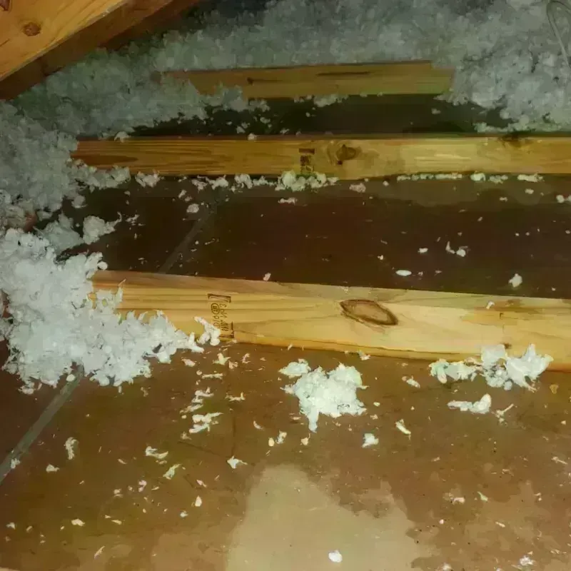 Attic Water Damage in Erving, MA