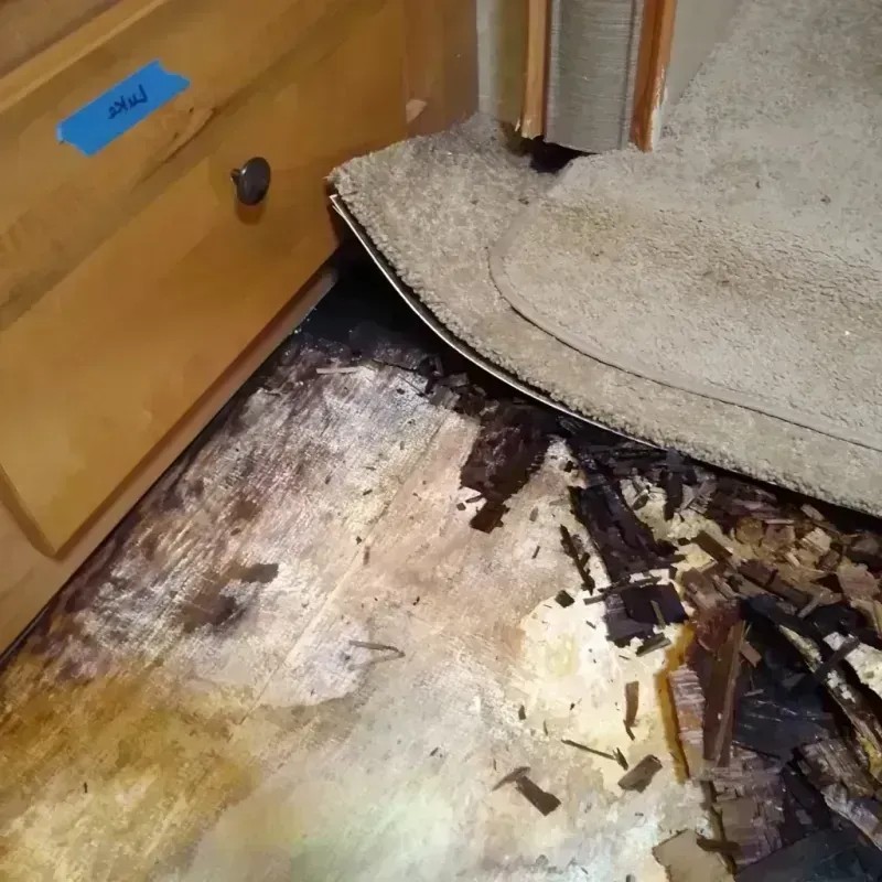 Best Wood Floor Water Damage Service in Erving, MA